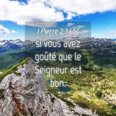 Picture 04 - 1 Pierre 2:3 LSG - si vous avez goûté que le Seigneur est - Bible Verse Picture