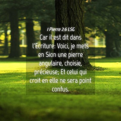 Picture 04 - 1 Pierre 2:6 LSG - Car il est dit dans l'Ecriture: Voici, je mets en - Bible Verse Picture