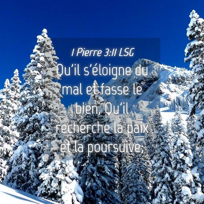 Picture 04 - 1 Pierre 3:11 LSG - Qu'il s'éloigne du mal et fasse le bien, Qu'il - Bible Verse Picture