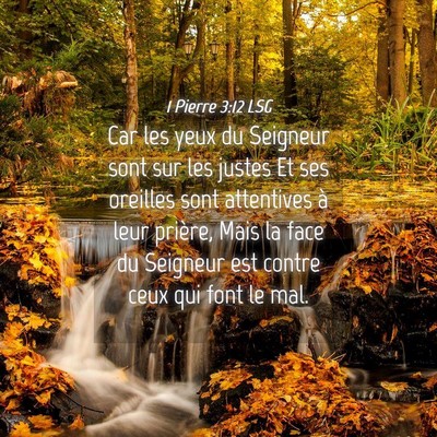 Picture 04 - 1 Pierre 3:12 LSG - Car les yeux du Seigneur sont sur les justes Et - Bible Verse Picture