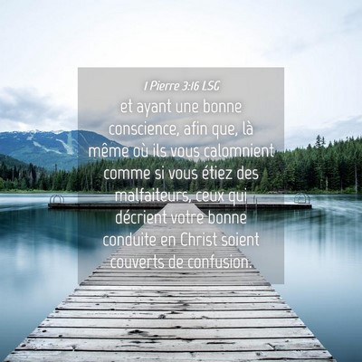 Picture 04 - 1 Pierre 3:16 LSG - et ayant une bonne conscience, afin que, là - Bible Verse Picture