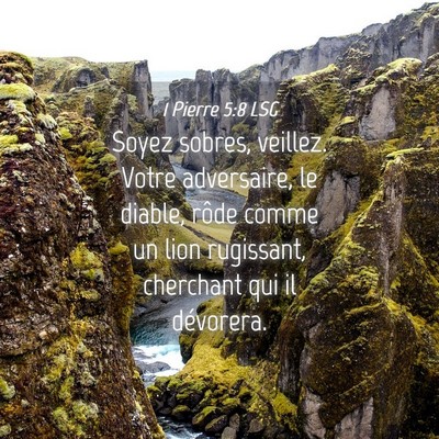 Picture 04 - 1 Pierre 5:8 LSG - Soyez sobres, veillez. Votre adversaire, le - Bible Verse Picture