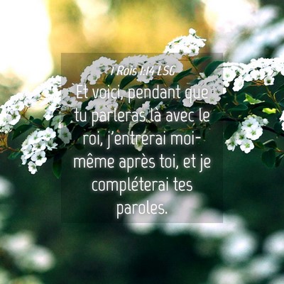 Picture 04 - 1 Rois 1:14 LSG - Et voici, pendant que tu parleras là avec le - Bible Verse Picture