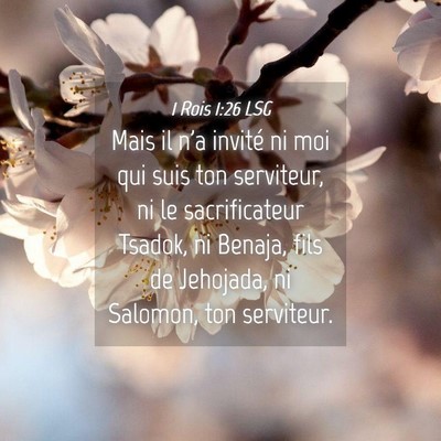 Picture 04 - 1 Rois 1:26 LSG - Mais il n'a invité ni moi qui suis ton - Bible Verse Picture