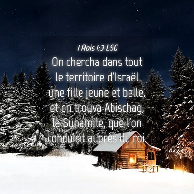 Picture 04 - 1 Rois 1:3 LSG - On chercha dans tout le territoire d'Israël une - Bible Verse Picture