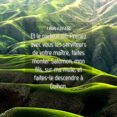 Picture 04 - 1 Rois 1:33 LSG - Et le roi leur dit: Prenez avec vous les - Bible Verse Picture