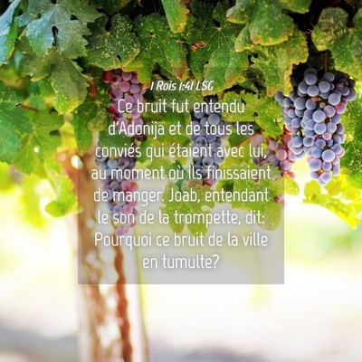 Picture 04 - 1 Rois 1:41 LSG - Ce bruit fut entendu d'Adonija et de tous les - Bible Verse Picture