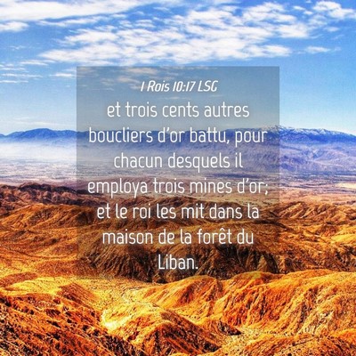 Picture 04 - 1 Rois 10:17 LSG - et trois cents autres boucliers d'or battu, pour - Bible Verse Picture