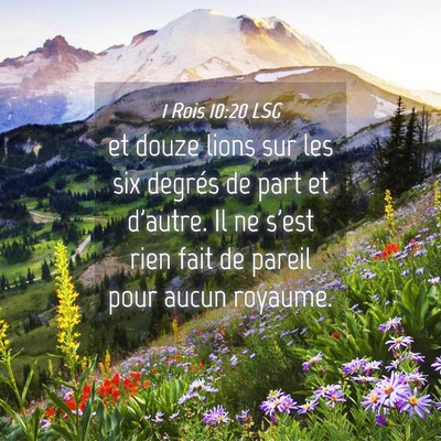 Picture 04 - 1 Rois 10:20 LSG - et douze lions sur les six degrés de part et - Bible Verse Picture