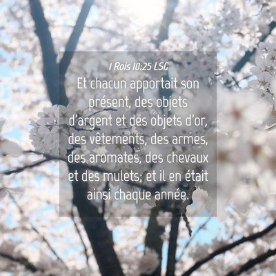 Picture 04 - 1 Rois 10:25 LSG - Et chacun apportait son présent, des objets - Bible Verse Picture