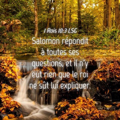 Picture 04 - 1 Rois 10:3 LSG - Salomon répondit à toutes ses questions, et il - Bible Verse Picture