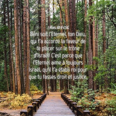 Picture 04 - 1 Rois 10:9 LSG - Béni soit l'Eternel, ton Dieu, qui t'a accordé - Bible Verse Picture