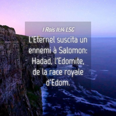 Picture 04 - 1 Rois 11:14 LSG - L'Eternel suscita un ennemi à Salomon: Hadad, - Bible Verse Picture