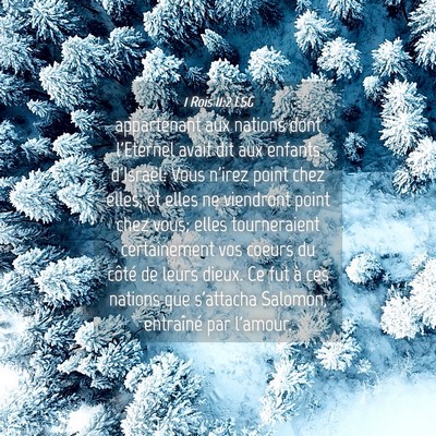 Picture 04 - 1 Rois 11:2 LSG - appartenant aux nations dont l'Eternel avait dit - Bible Verse Picture