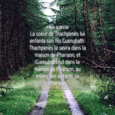 Picture 04 - 1 Rois 11:20 LSG - La soeur de Thachpenès lui enfanta son fils - Bible Verse Picture