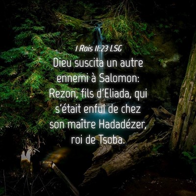Picture 04 - 1 Rois 11:23 LSG - Dieu suscita un autre ennemi à Salomon: Rezon, - Bible Verse Picture