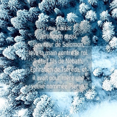 Picture 04 - 1 Rois 11:26 LSG - Jéroboam aussi, serviteur de Salomon, leva la - Bible Verse Picture