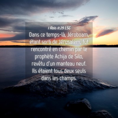 Picture 04 - 1 Rois 11:29 LSG - Dans ce temps-là, Jéroboam, étant sorti de - Bible Verse Picture