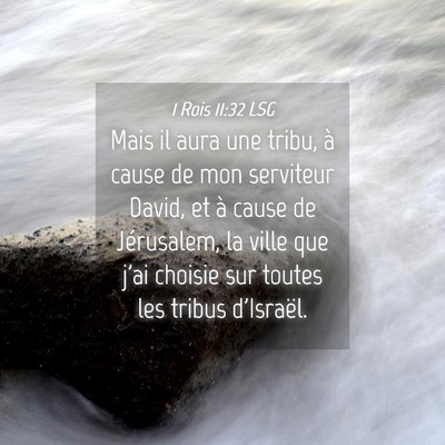 Picture 04 - 1 Rois 11:32 LSG - Mais il aura une tribu, à cause de mon serviteur - Bible Verse Picture
