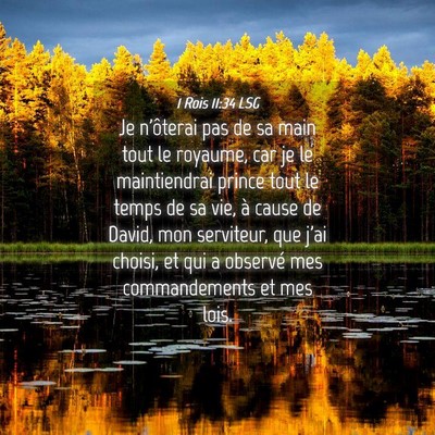 Picture 04 - 1 Rois 11:34 LSG - Je n'ôterai pas de sa main tout le royaume, car - Bible Verse Picture