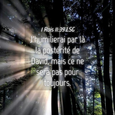 Picture 04 - 1 Rois 11:39 LSG - J'humilierai par là la postérité de David, - Bible Verse Picture
