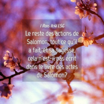 Picture 04 - 1 Rois 11:41 LSG - Le reste des actions de Salomon, tout ce qu'il a - Bible Verse Picture
