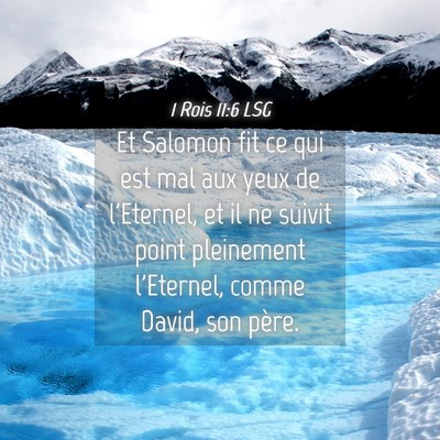 Picture 04 - 1 Rois 11:6 LSG - Et Salomon fit ce qui est mal aux yeux de - Bible Verse Picture