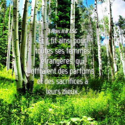 Picture 04 - 1 Rois 11:8 LSG - Et il fit ainsi pour toutes ses femmes - Bible Verse Picture