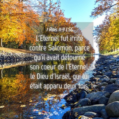 Picture 04 - 1 Rois 11:9 LSG - L'Eternel fut irrité contre Salomon, parce qu'il - Bible Verse Picture