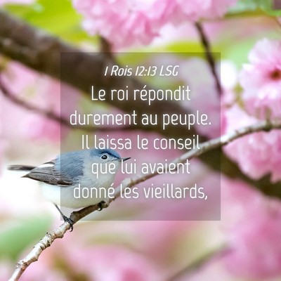 Picture 04 - 1 Rois 12:13 LSG - Le roi répondit durement au peuple. Il laissa le - Bible Verse Picture