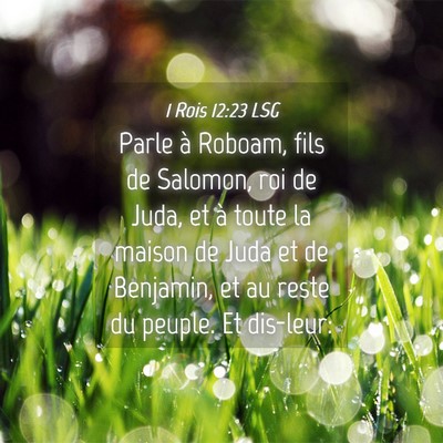 Picture 04 - 1 Rois 12:23 LSG - Parle à Roboam, fils de Salomon, roi de Juda, et - Bible Verse Picture
