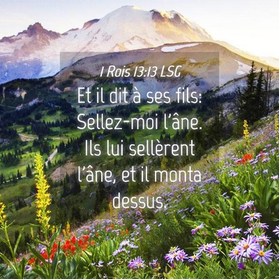 Picture 04 - 1 Rois 13:13 LSG - Et il dit à ses fils: Sellez-moi l'âne. Ils lui - Bible Verse Picture