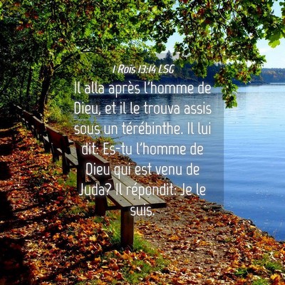 Picture 04 - 1 Rois 13:14 LSG - Il alla après l'homme de Dieu, et il le trouva - Bible Verse Picture