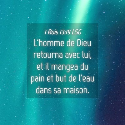 Picture 04 - 1 Rois 13:19 LSG - L'homme de Dieu retourna avec lui, et il mangea - Bible Verse Picture
