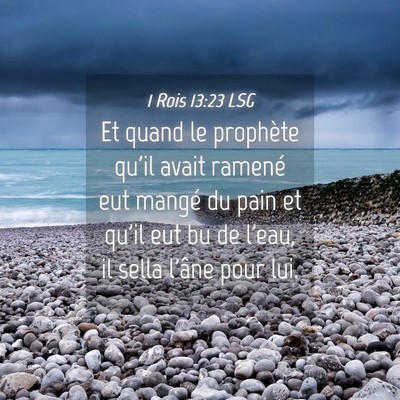 Picture 04 - 1 Rois 13:23 LSG - Et quand le prophète qu'il avait ramené eut - Bible Verse Picture