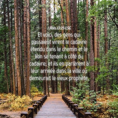 Picture 04 - 1 Rois 13:25 LSG - Et voici, des gens qui passaient virent le - Bible Verse Picture