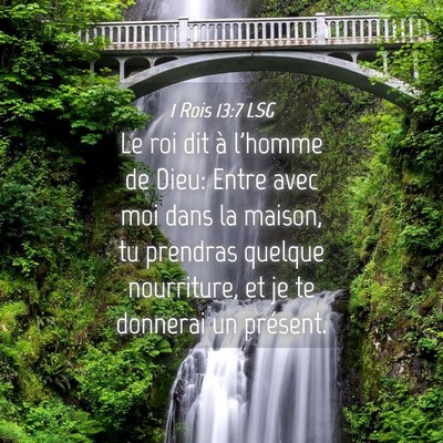 Picture 04 - 1 Rois 13:7 LSG - Le roi dit à l'homme de Dieu: Entre avec moi - Bible Verse Picture