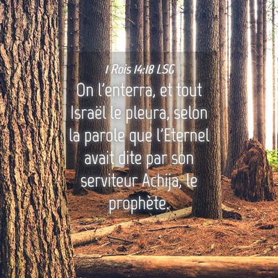 Picture 04 - 1 Rois 14:18 LSG - On l'enterra, et tout Israël le pleura, selon la - Bible Verse Picture