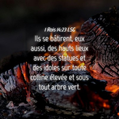 Picture 04 - 1 Rois 14:23 LSG - Ils se bâtirent, eux aussi, des hauts lieux avec - Bible Verse Picture