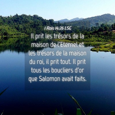 Picture 04 - 1 Rois 14:26 LSG - Il prit les trésors de la maison de l'Eternel et - Bible Verse Picture
