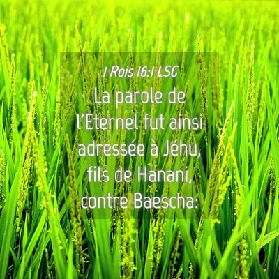 Picture 04 - 1 Rois 16:1 LSG - La parole de l'Eternel fut ainsi adressée à - Bible Verse Picture