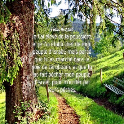 Picture 04 - 1 Rois 16:2 LSG - Je t'ai élevé de la poussière, et je t'ai - Bible Verse Picture