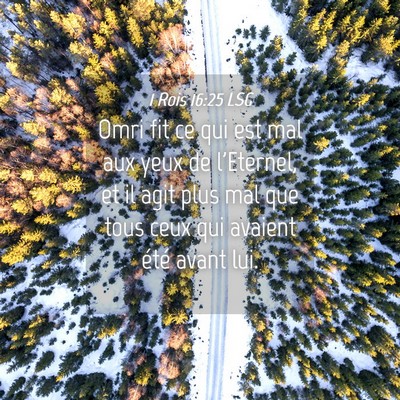 Picture 04 - 1 Rois 16:25 LSG - Omri fit ce qui est mal aux yeux de l'Eternel, et - Bible Verse Picture