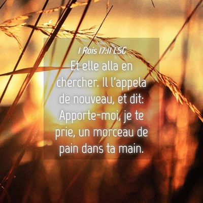 Picture 04 - 1 Rois 17:11 LSG - Et elle alla en chercher. Il l'appela de nouveau, - Bible Verse Picture