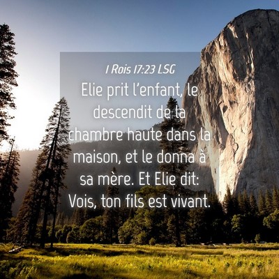 Picture 04 - 1 Rois 17:23 LSG - Elie prit l'enfant, le descendit de la chambre - Bible Verse Picture