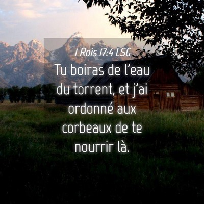 Picture 04 - 1 Rois 17:4 LSG - Tu boiras de l'eau du torrent, et j'ai ordonné - Bible Verse Picture