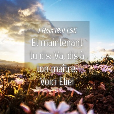 Picture 04 - 1 Rois 18:11 LSG - Et maintenant tu dis: Va, dis à ton maître: - Bible Verse Picture