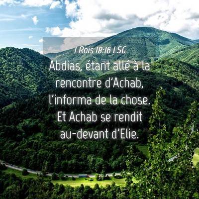 Picture 04 - 1 Rois 18:16 LSG - Abdias, étant allé à la rencontre d'Achab, - Bible Verse Picture