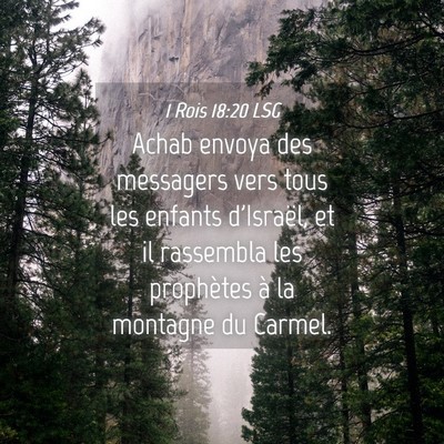 Picture 04 - 1 Rois 18:20 LSG - Achab envoya des messagers vers tous les enfants - Bible Verse Picture