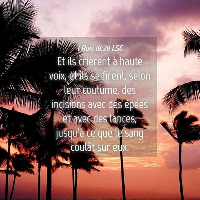 Picture 04 - 1 Rois 18:28 LSG - Et ils crièrent à haute voix, et ils se firent, - Bible Verse Picture